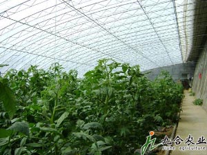 種植溫室