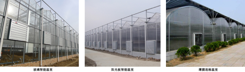 玻璃智能溫室、陽光板智能溫室、薄膜連棟溫室