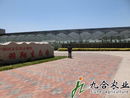 天津天羽翔生態(tài)園（陽光板智能連棟溫室）