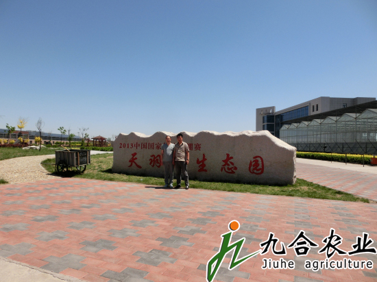 天津天羽翔生態(tài)園（陽光板智能連棟溫室）