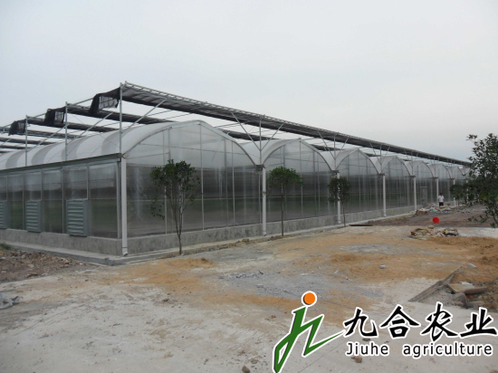 河南信陽光山縣現(xiàn)代農(nóng)業(yè)園（陽光板智能連棟溫室）