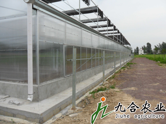 河南信陽光山縣現(xiàn)代農(nóng)業(yè)園（陽光板智能連棟溫室）