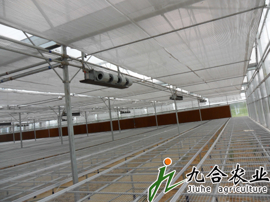 河南信陽光山縣現(xiàn)代農(nóng)業(yè)園（陽光板智能連棟溫室）