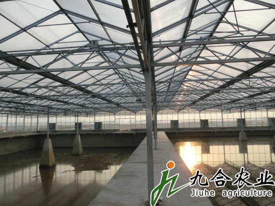 黑龍江水產(chǎn)研究所（陽光板連棟智能溫室）