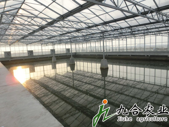 黑龍江水產(chǎn)研究所（陽光板連棟智能溫室）