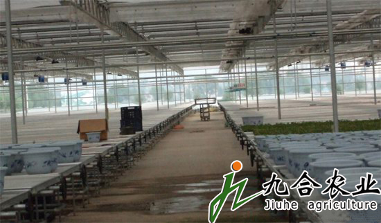 聊城現(xiàn)代農業(yè)示范園（玻璃連棟智能溫室）
