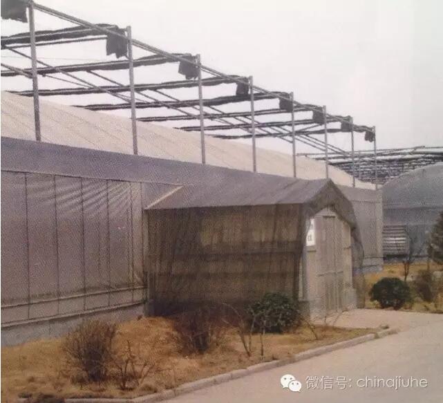 連棟溫室的門口緩沖間覆蓋遮陽網