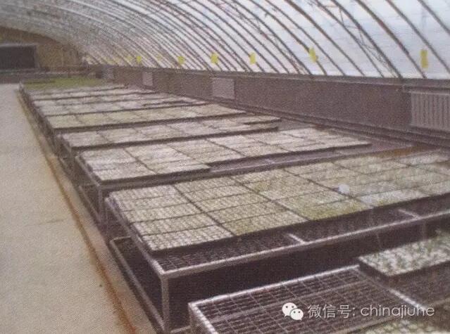 智能溫室育苗棚內的暖氣片