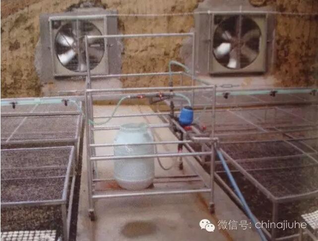 智能溫室內的手動灌溉系統