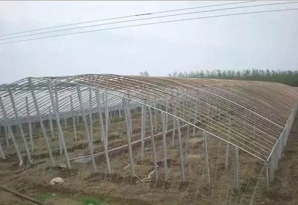 鍍鋅鋼絲,拱棚頂部和兩側的鋼絲間距
