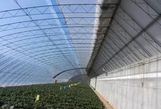 從影響溫室大棚溫度的管理上入手，防范寒潮