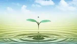 土壤中的水分可分為三類,即毛管水、重力水、束縛水 土壤中的水分可分為三類,即毛管水、重力水、束縛水