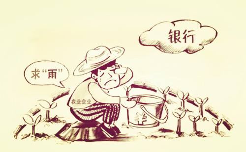 做農(nóng)業(yè)缺錢