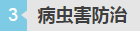 病蟲(chóng)害防治.png