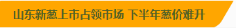 山東新蔥上市占領(lǐng)市場，下半年蔥價難升.png