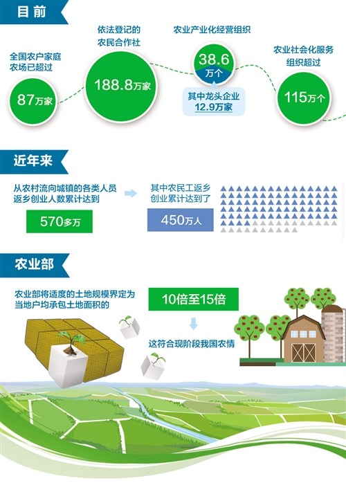 新型農(nóng)業(yè)經(jīng)營主體