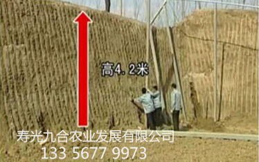后墻高度