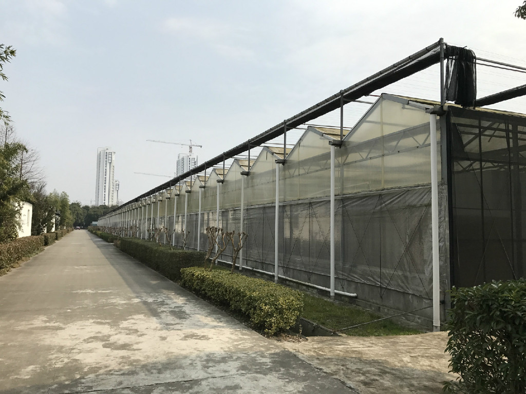 新型溫室大棚.jpg
