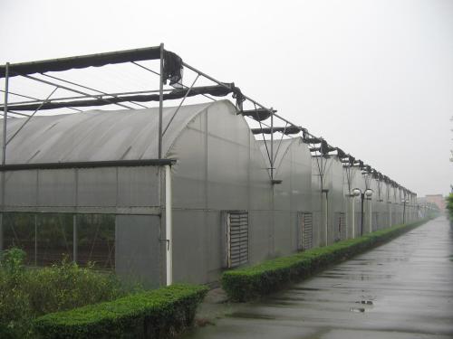 溫室大棚.jpg