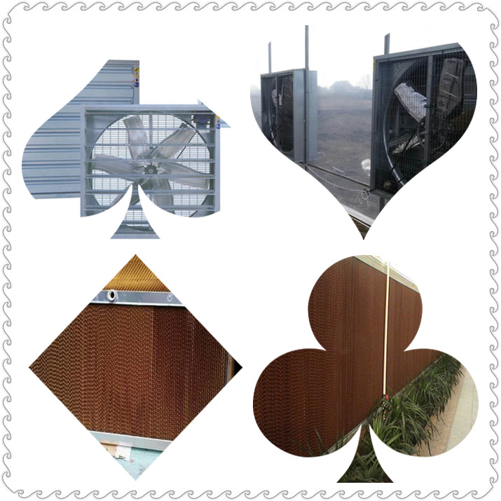 風(fēng)機(jī)濕簾降溫系統(tǒng).jpg