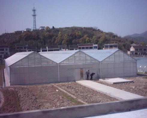 雙坡面單棟溫室.jpg