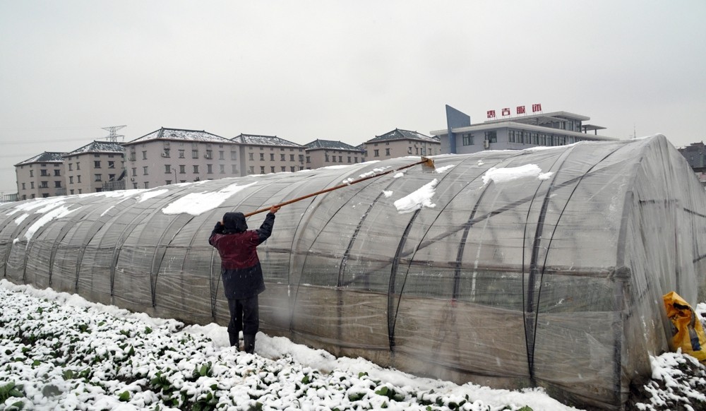大棚掃雪.jpg