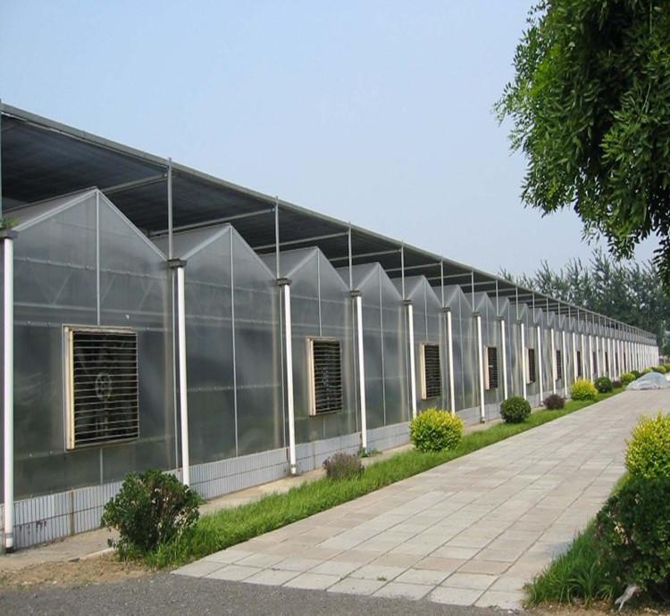 PC板溫室.jpg