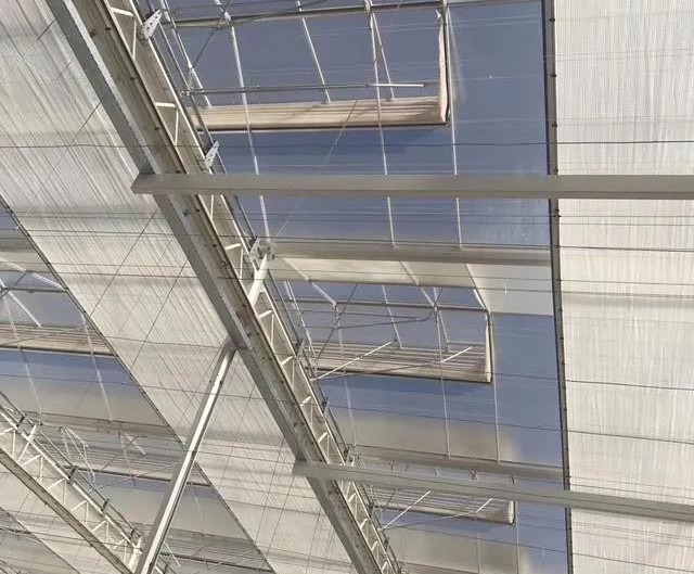 溫室大棚覆蓋材料--漫散射玻璃.jpg