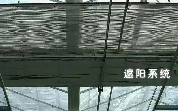 遮陽系統(tǒng).jpg