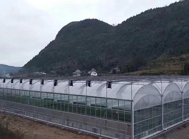 連棟溫室大棚.jpg