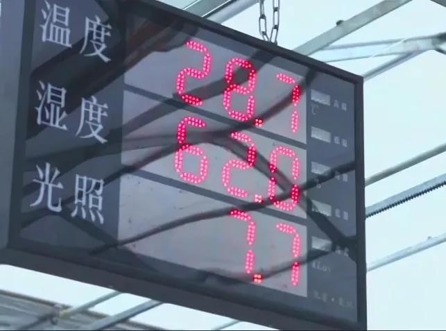 微信圖片_20201206083544.jpg
