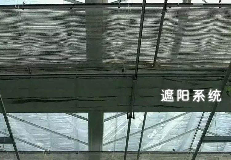 玻璃溫室內(nèi)遮陽(yáng)幕布.jpg