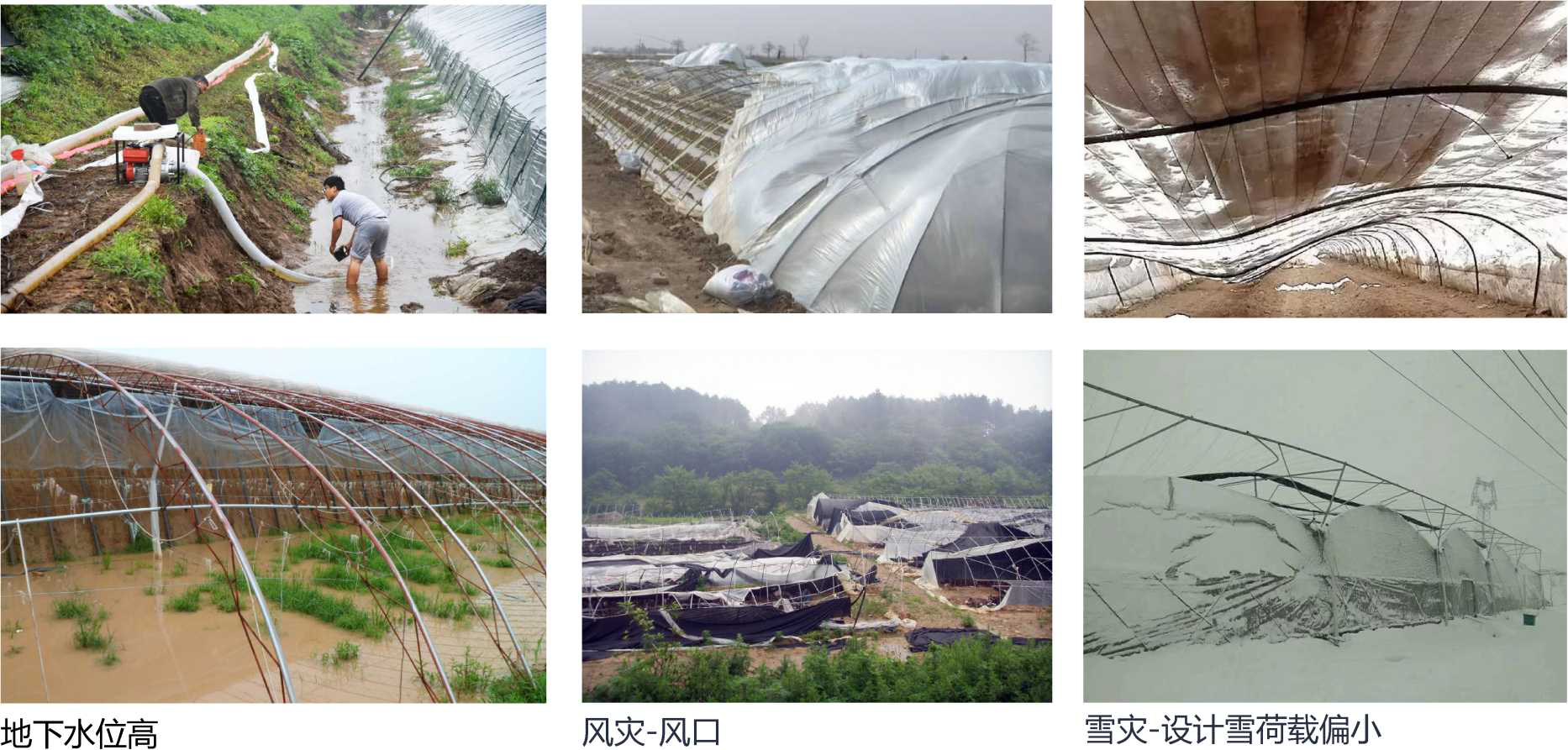 大棚選址要求.png