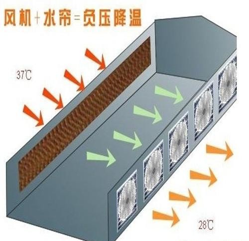 玻璃溫室大棚風(fēng)機濕簾系統(tǒng).jpg