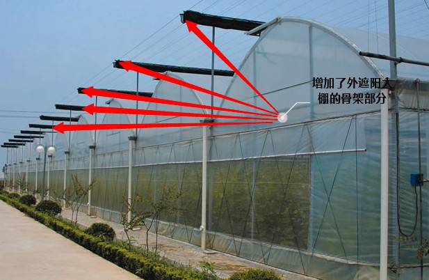 標準型連棟溫室大棚.jpg