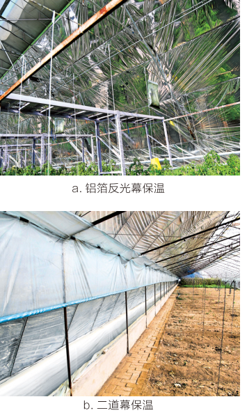 滑蓋式日光溫室的保溫系統(tǒng).png